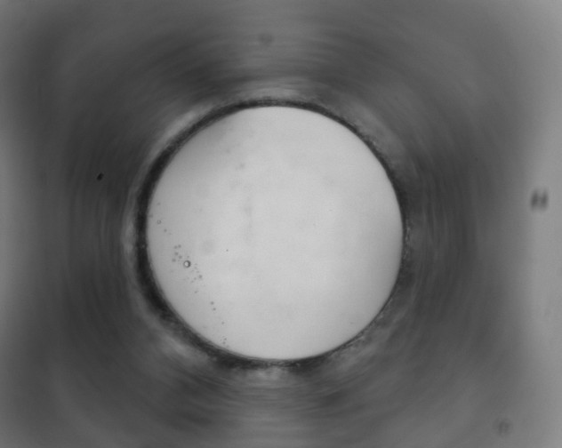 X0000102240112200807250847