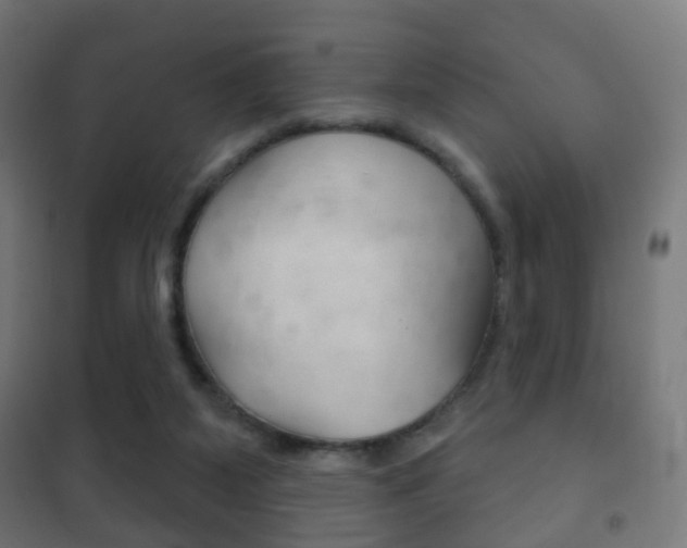 X0000102240115200807250847