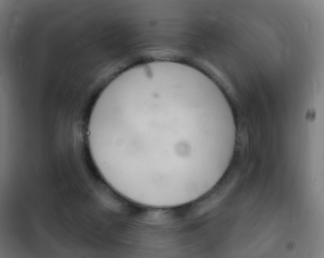 X0000102240117200807250847