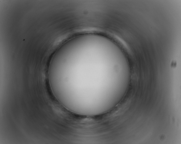 X0000102240119200807250847