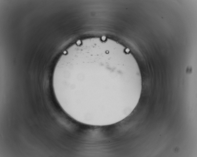 X0000102240120200807250847