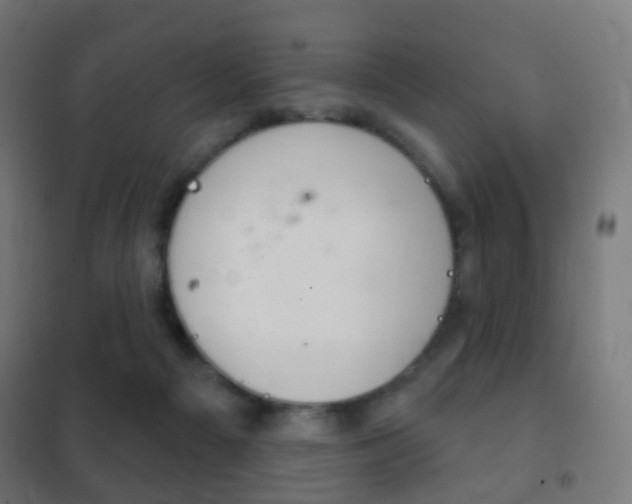 X0000102240121200807250847