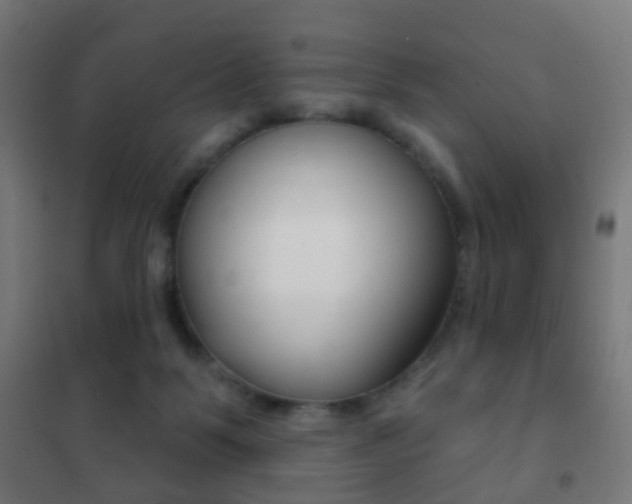 X0000102240123200807250847