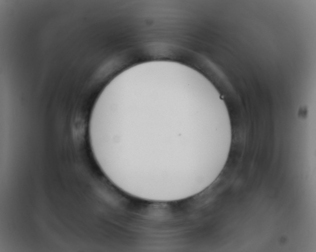 X0000102240124200807250847