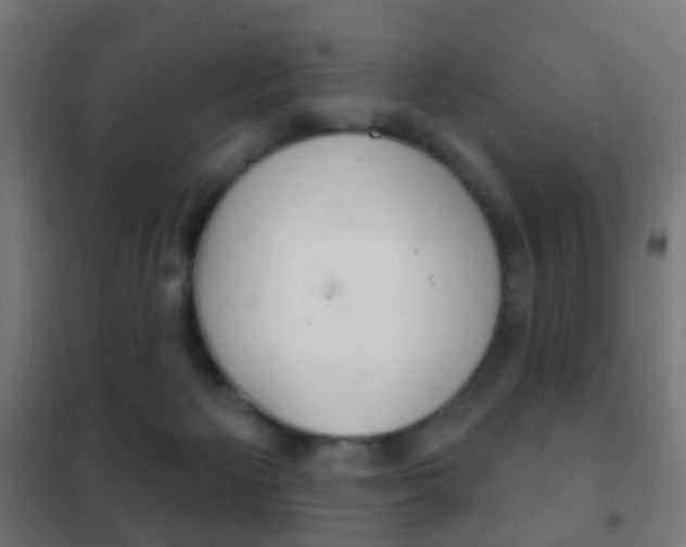 X0000102240125200807250847