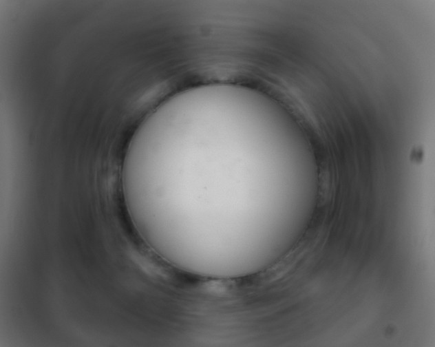 X0000102240126200807250847