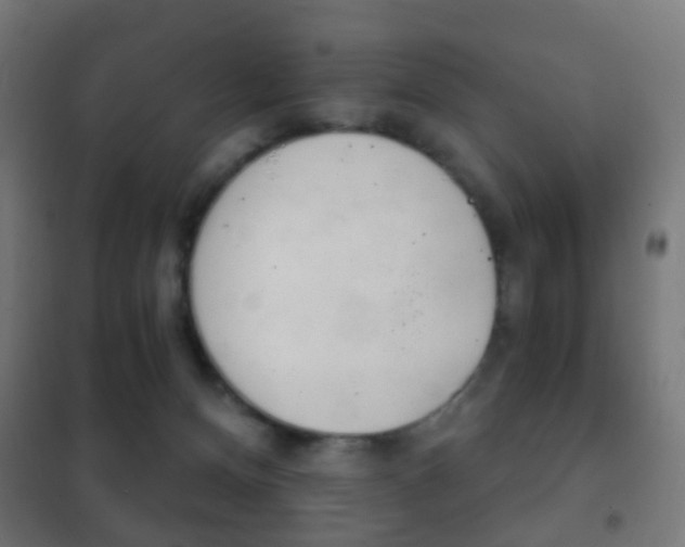 X0000102240128200807250847