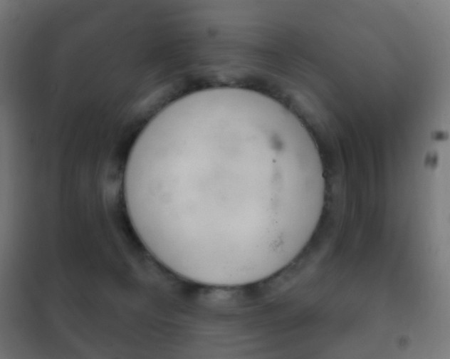 X0000102240129200807250847