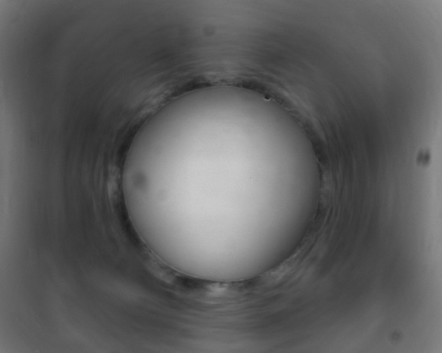 X0000102240130200807250847