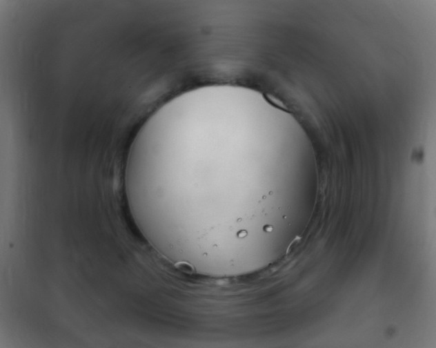 X0000102240131200807250847