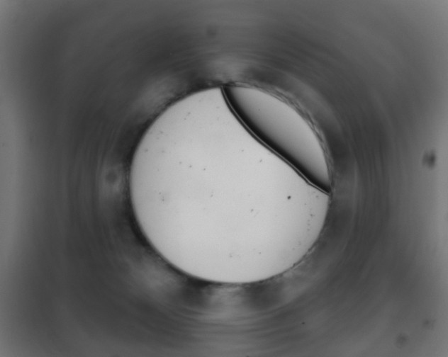 X0000102240132200807250847