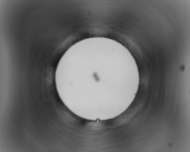 X0000102240133200807250847