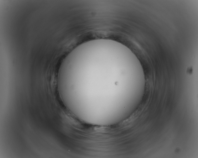 X0000102240134200807250847