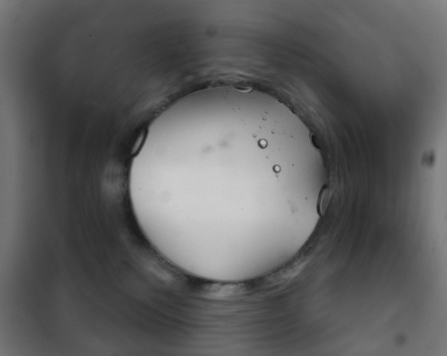 X0000102240135200807250847