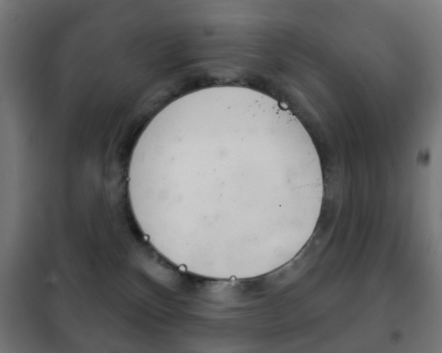 X0000102240136200807250847