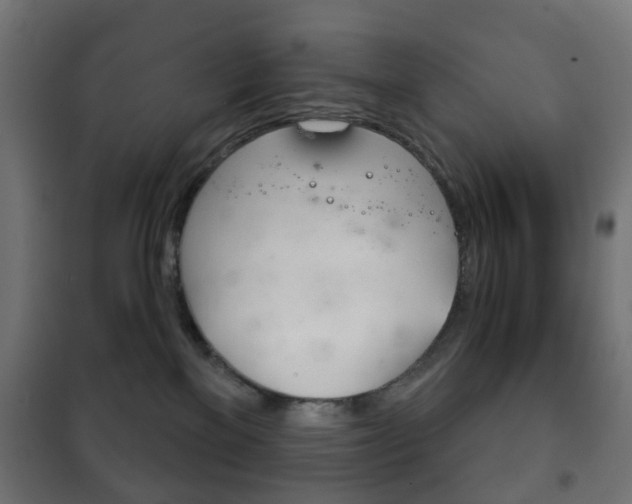 X0000102240137200807250847