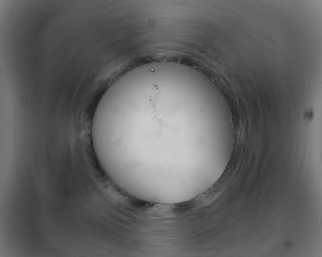 X0000102240138200807250847