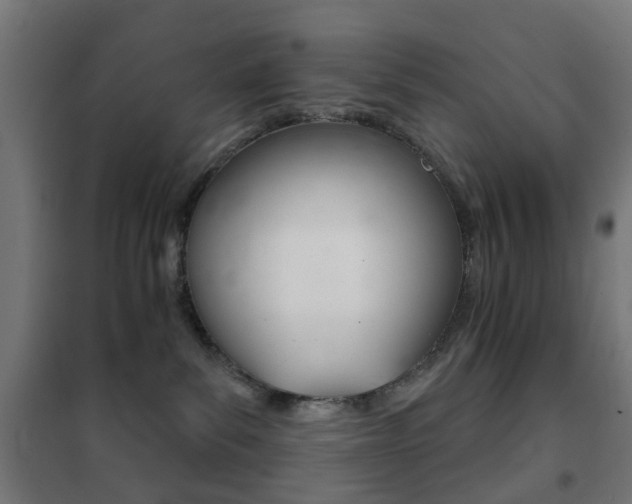 X0000102240139200807250847