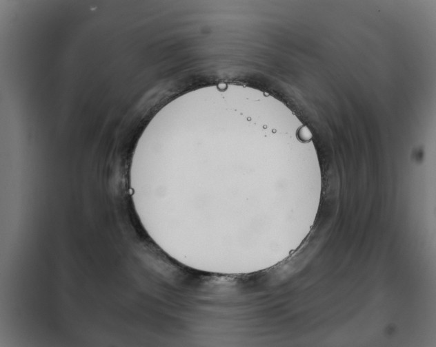 X0000102240140200807250847