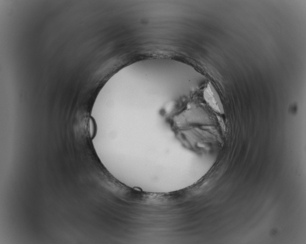 X0000102240141200807250847