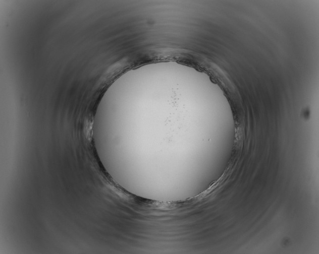 X0000102240142200807250846