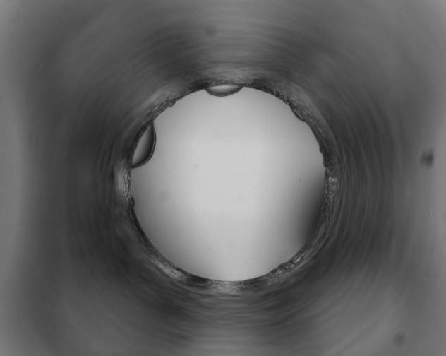 X0000102240143200807250846