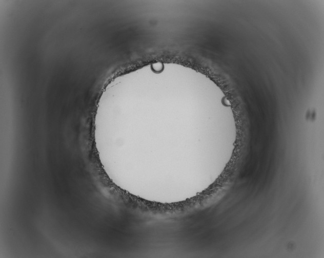 X0000102240144200807250846