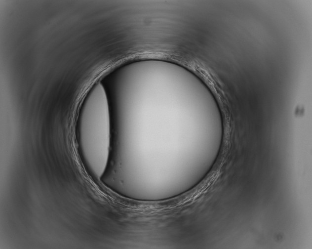 X0000102240145200807250846