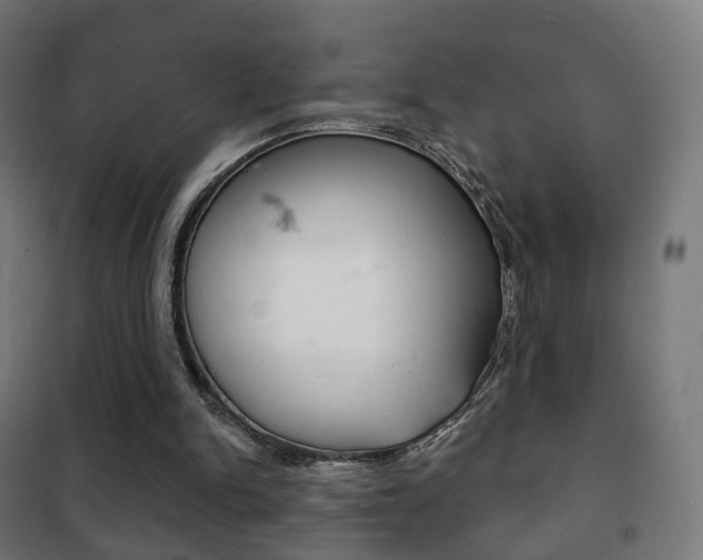 X0000102240150200807250846