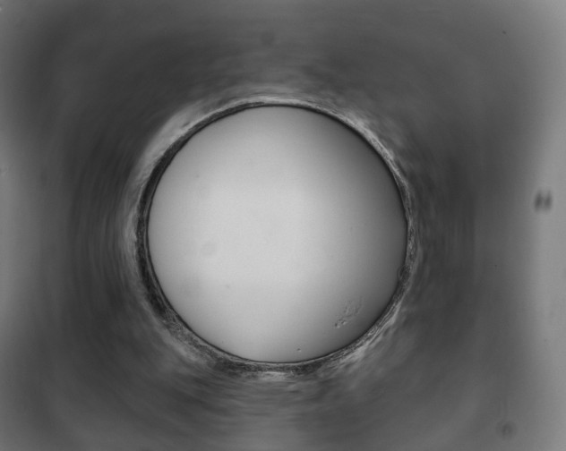 X0000102240151200807250846