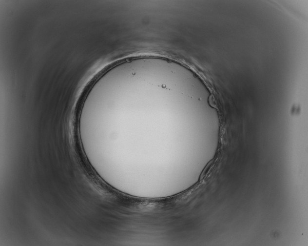X0000102240152200807250846