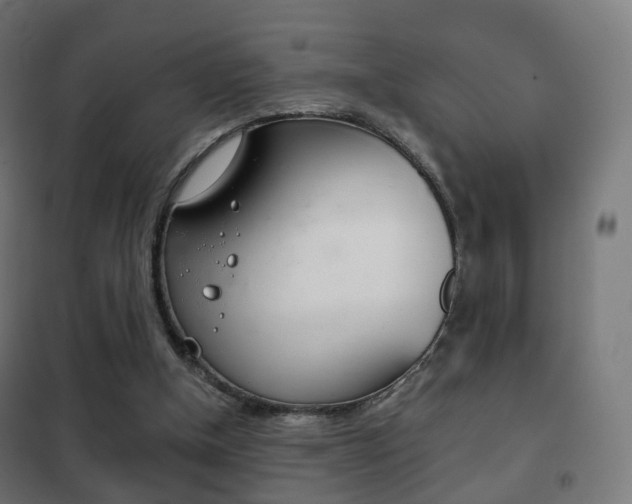 X0000102240154200807250846