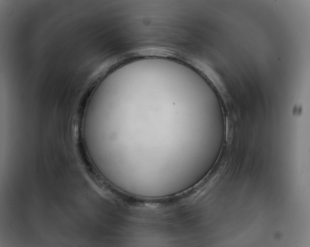 X0000102240157200807250846