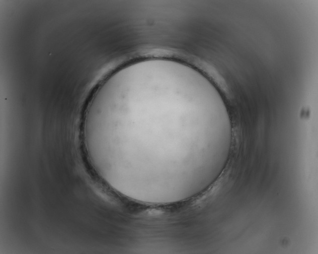 X0000102240159200807250846