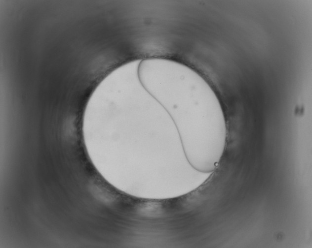 X0000102240162200807250846