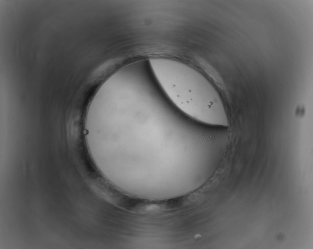 X0000102240163200807250846