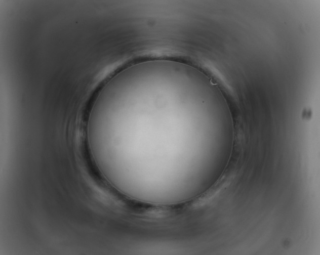 X0000102240164200807250846
