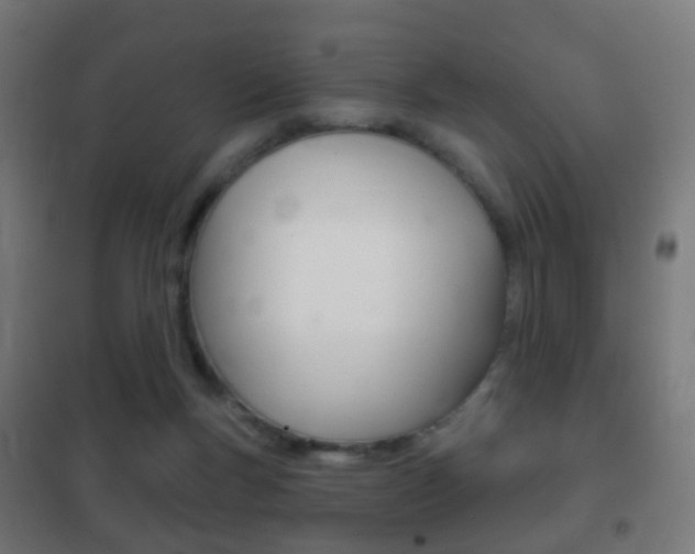 X0000102240167200807250846