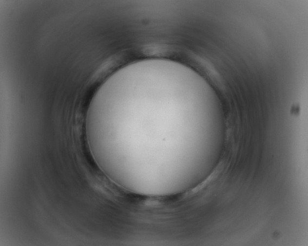 X0000102240171200807250846