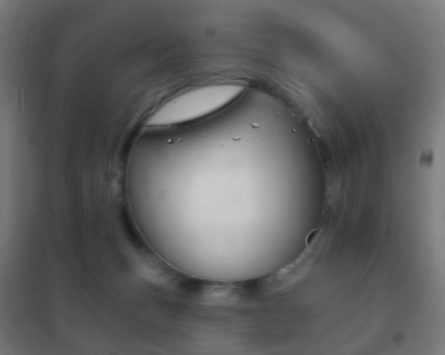 X0000102240175200807250846