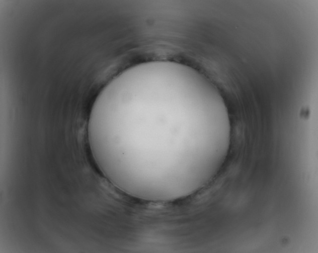 X0000102240177200807250846