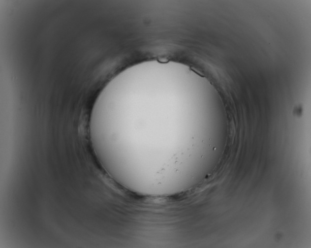 X0000102240181200807250846