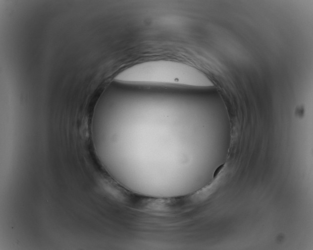 X0000102240182200807250846