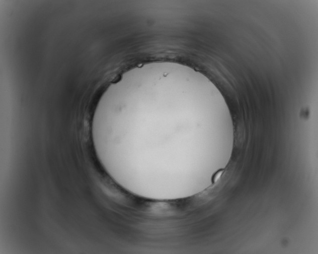 X0000102240183200807250846