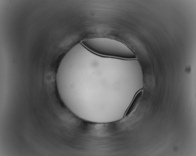 X0000102240184200807250846