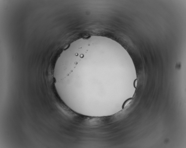 X0000102240186200807250846