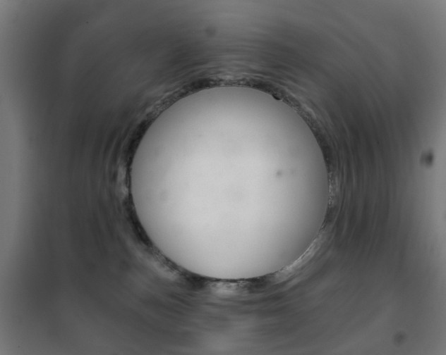 X0000102240187200807250846