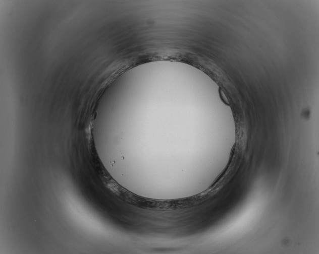 X0000102240191200807250846