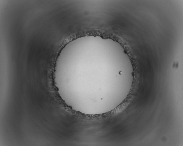 X0000102240192200807250846