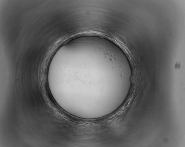 X0000102240193200807250846